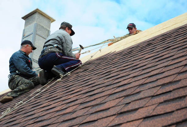 Best New Roof Installation  in Clton, IN